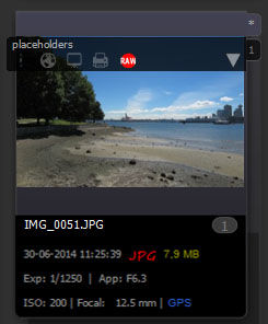 Version Place Holder named RAW
