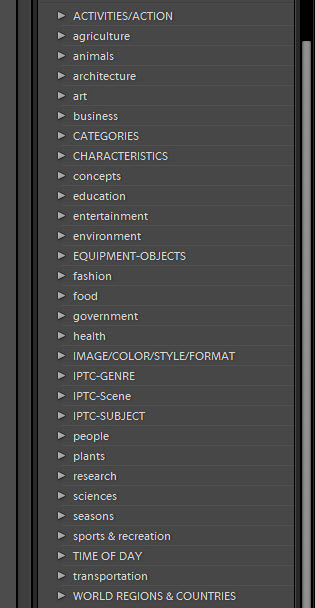 Ligthroom Keyword structure