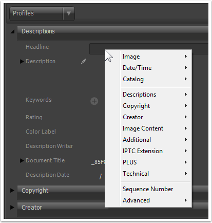 Detail Panel Field Macro Commands 01.png