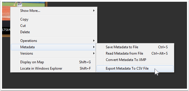 Export Metadata.png