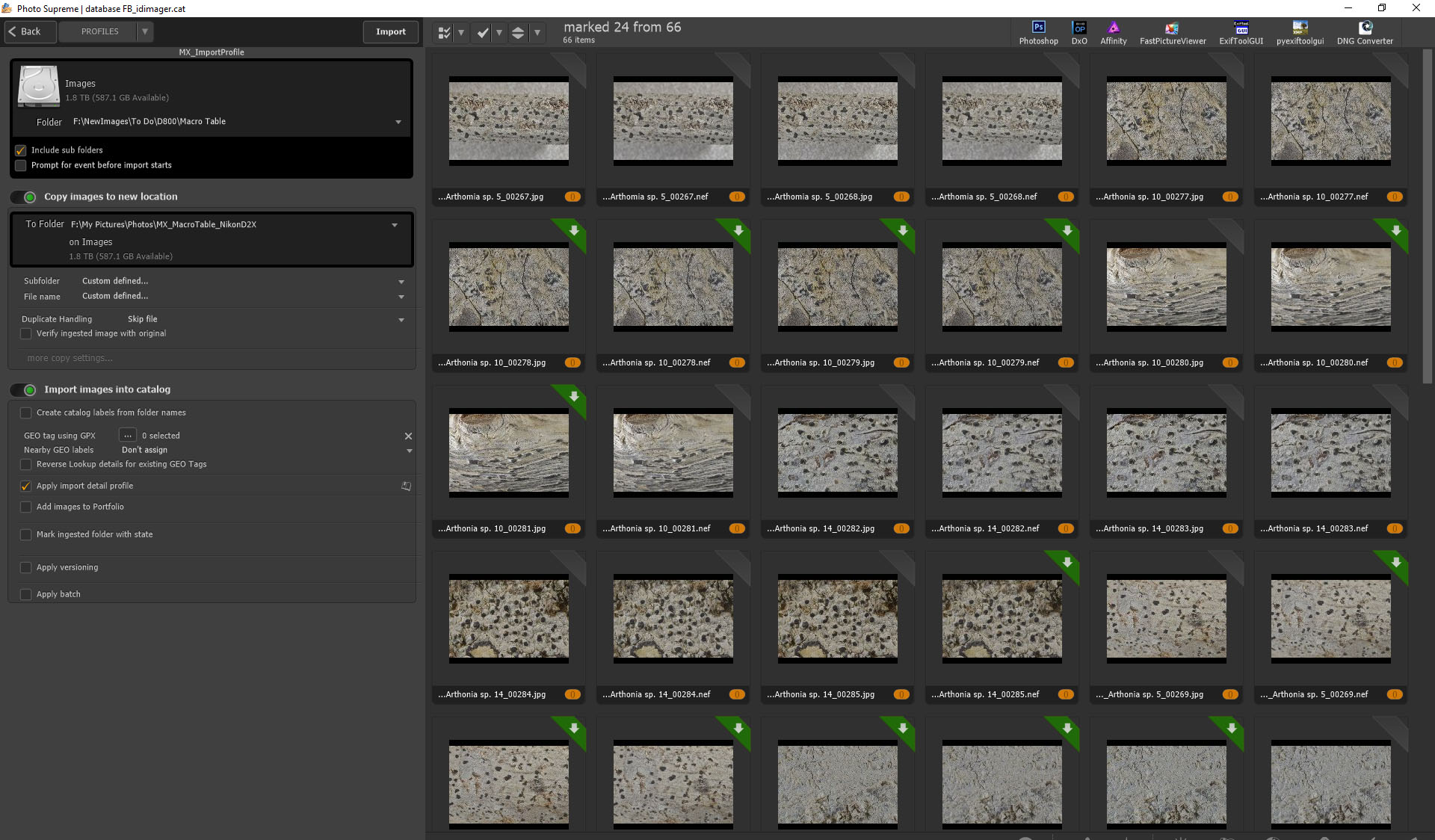 PSu_after-import_marked-skipped-images_03.jpg