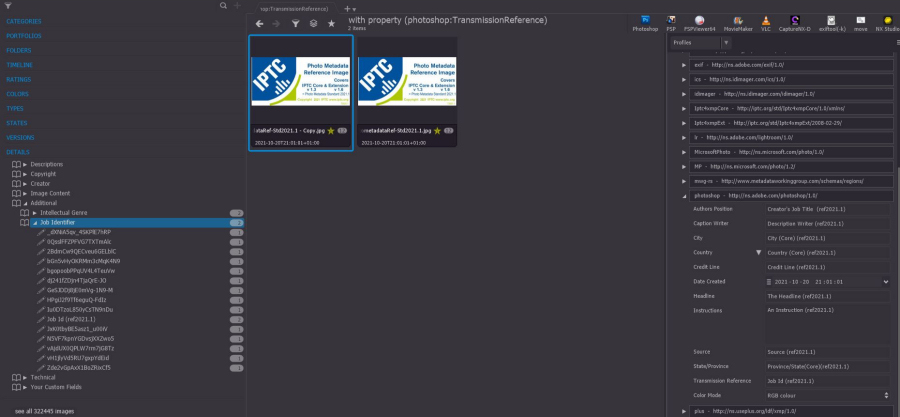 details-incorrect-counts-rs.JPG