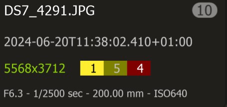 Screenshot 2024-06-28 202425.jpg