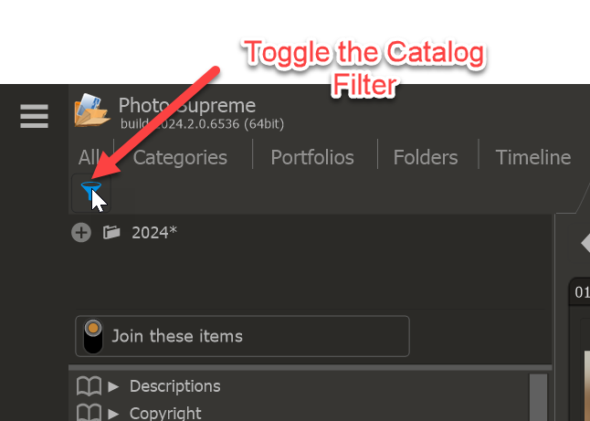 CatFilter3.png
