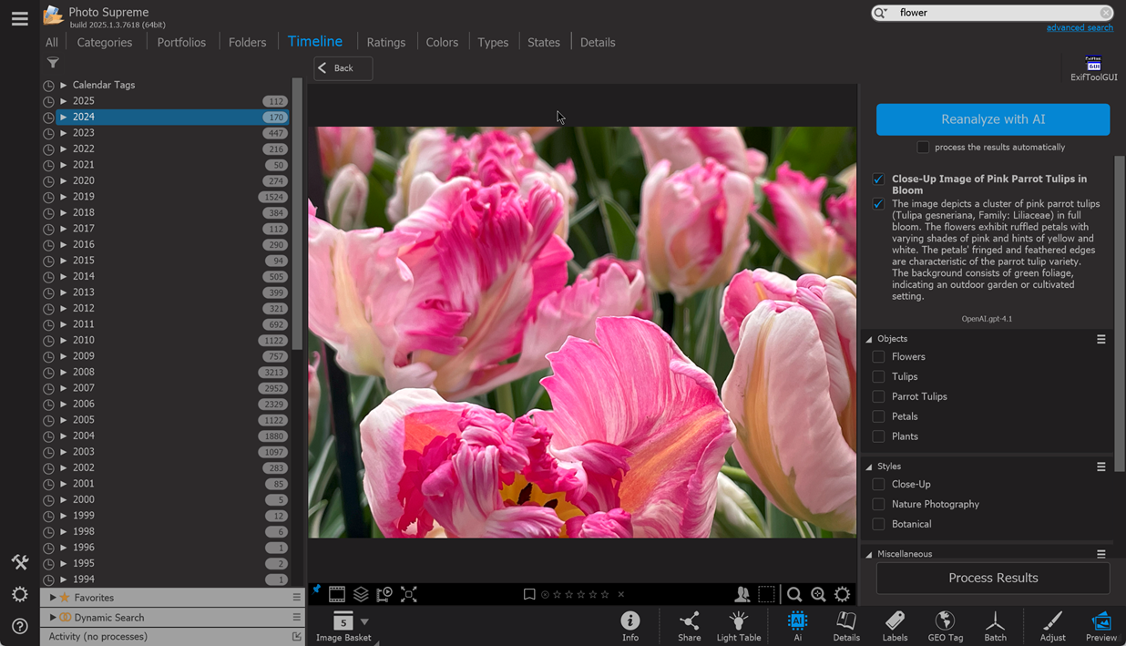 tulips.png